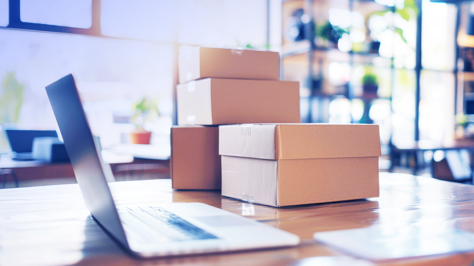 Understanding eCommerce SEO: How to Rank Your Online Store